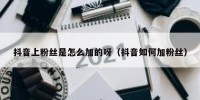 抖音上粉丝是怎么加的呀（抖音如何加粉丝）