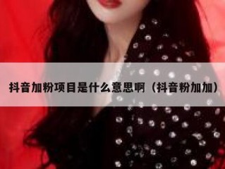 抖音加粉项目是什么意思啊（抖音粉加加）