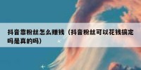 抖音靠粉丝怎么赚钱（抖音粉丝可以花钱搞定吗是真的吗）