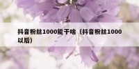 抖音粉丝1000能干啥（抖音粉丝1000以后）