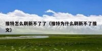 推特怎么刷新不了了（推特为什么刷新不了推文）
