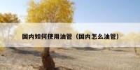 国内如何使用油管（国内怎么油管）