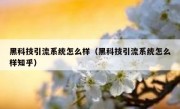 黑科技引流系统怎么样（黑科技引流系统怎么样知乎）