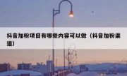 抖音加粉项目有哪些内容可以做（抖音加粉渠道）