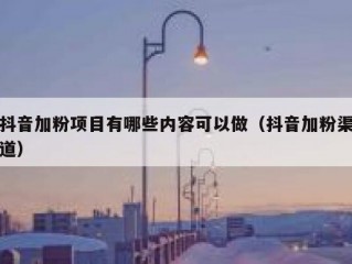 抖音加粉项目有哪些内容可以做（抖音加粉渠道）