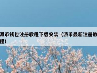 派币钱包注册教程下载安装（派币最新注册教程）