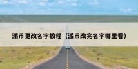 派币更改名字教程（派币改完名字哪里看）