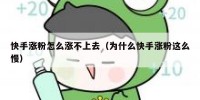 快手涨粉怎么涨不上去（为什么快手涨粉这么慢）