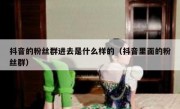 抖音的粉丝群进去是什么样的（抖音里面的粉丝群）