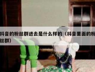 抖音的粉丝群进去是什么样的（抖音里面的粉丝群）