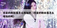 抖音的粉丝是怎么增加的（抖音的粉丝是怎么增加的呢）