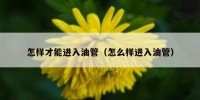 怎样才能进入油管（怎么样进入油管）