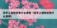 快手上涨粉丝有什么用啊（快手上涨粉丝有什么用啊）