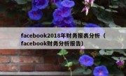 facebook2018年财务报表分析（facebook财务分析报告）
