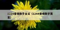 1224爱情数字含义（1244爱情数字寓意）
