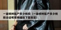一亩桃树能产多少桃胶（一亩桃树能产多少桃胶合适呢视频播放下载安装）