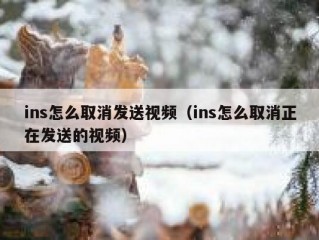 ins怎么取消发送视频（ins怎么取消正在发送的视频）