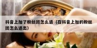 抖音上加了粉丝团怎么退（在抖音上加的粉丝团怎么退出）
