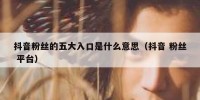 抖音粉丝的五大入口是什么意思（抖音 粉丝 平台）