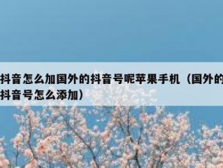抖音怎么加国外的抖音号呢苹果手机（国外的抖音号怎么添加）