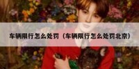 车辆限行怎么处罚（车辆限行怎么处罚北京）