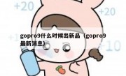 gopro9什么时候出新品（gopro9最新消息）