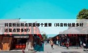 抖音粉丝和点赞量哪个重要（抖音粉丝量多好还是点赞多好）