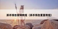 派币钱包视频教程（派币钱包重置教程）