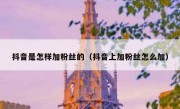抖音是怎样加粉丝的（抖音上加粉丝怎么加）