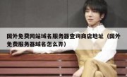 国外免费网站域名服务器查询商店地址（国外免费服务器域名怎么弄）
