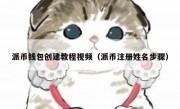 派币钱包创建教程视频（派币注册姓名步骤）