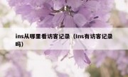 ins从哪里看访客记录（Ins有访客记录吗）