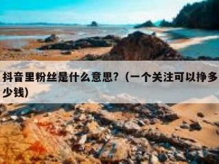 抖音里粉丝是什么意思?（一个关注可以挣多少钱）