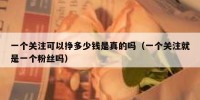 一个关注可以挣多少钱是真的吗（一个关注就是一个粉丝吗）