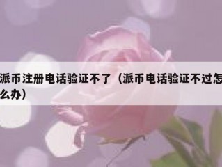 派币注册电话验证不了（派币电话验证不过怎么办）