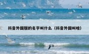 抖音外国版的名字叫什么（抖音外国叫啥）