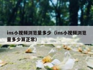 ins小视频浏览量多少（ins小视频浏览量多少算正常）