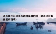 派币现在可以买东西吗是真的吗（派币现在有交易市场吗）