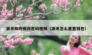 派币如何修改密码视频（派币怎么重置钱包）