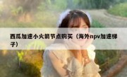 西瓜加速小火箭节点购买（海外npv加速梯子）