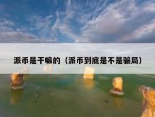 派币是干嘛的（派币到底是不是骗局）