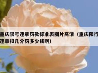 重庆限号违章罚款标准表图片高清（重庆限行违章扣几分罚多少钱啊）
