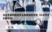 公众号里的粉丝怎么加微信好友呢（公众号怎么有粉丝）