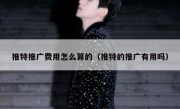 推特推广费用怎么算的（推特的推广有用吗）