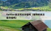 twitter关注可以分组吗（推特的关注能分组吗）