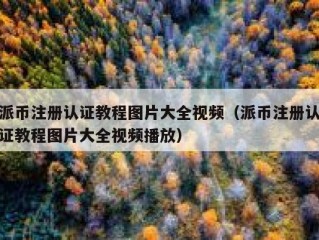 派币注册认证教程图片大全视频（派币注册认证教程图片大全视频播放）