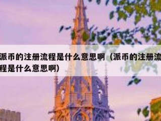 派币的注册流程是什么意思啊（派币的注册流程是什么意思啊）