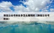 微信公众号粉丝多怎么赚钱的（微信公众号 粉丝）