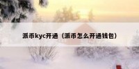 派币kyc开通（派币怎么开通钱包）