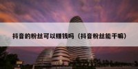 抖音的粉丝可以赚钱吗（抖音粉丝能干嘛）